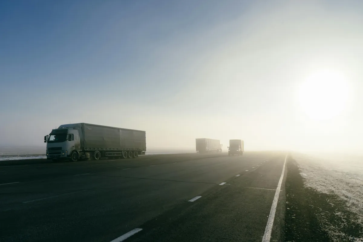 Whitmore BulkForce team — logistics